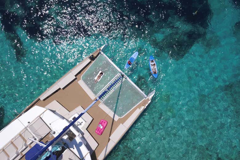The catamaran 