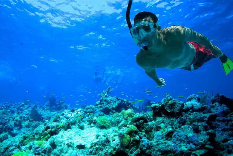 Snorkelling in Comino