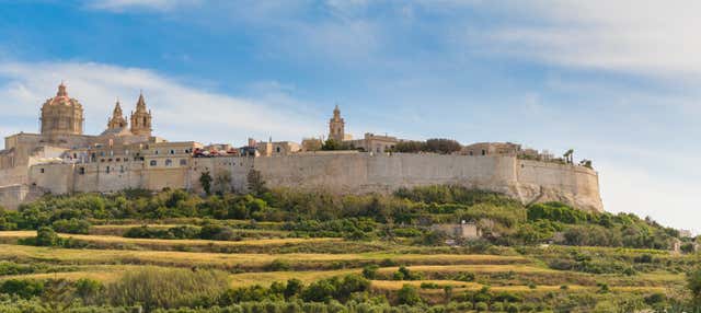 Mdina and Dingli Cliffs Day trip